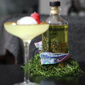 Brombyrina_Silk_Gin_Seiden_Gin_Cocktail_Drink_AmaGin (10,1)-min