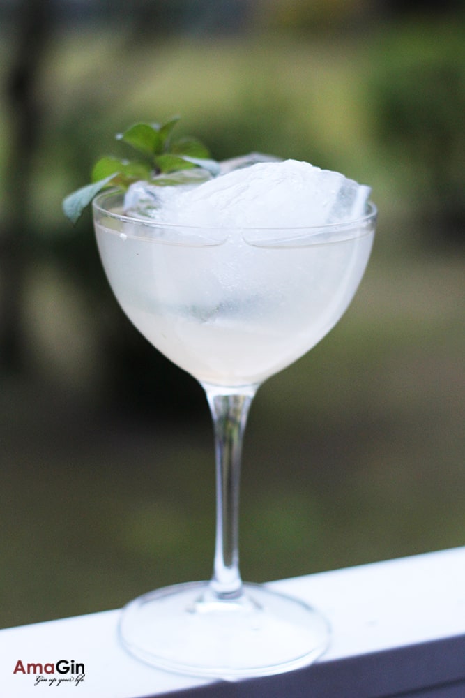 Alpina Amaro - Hausberg Gin No. 4 Cocktail -AmaGin