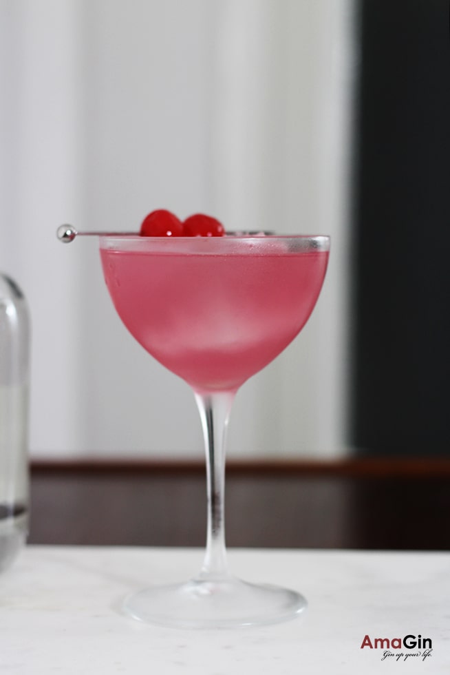 Cherryation - Shlata Gin Cocktail 3