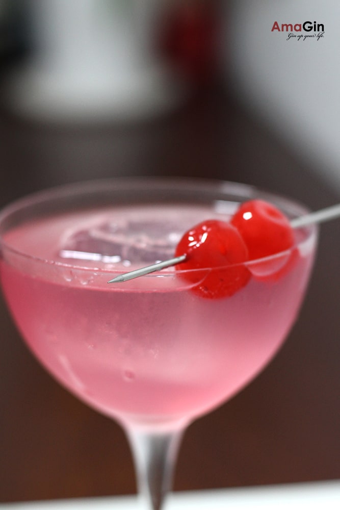 Cherryation - Shlata Gin Cocktail