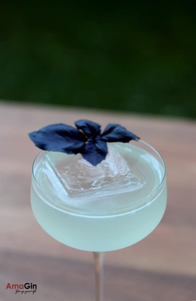 Kamilla 22 Cocktail - AmaGin (2)