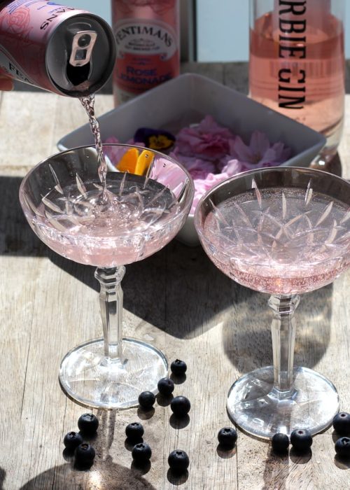 Herbie Pink Gin and Tonic