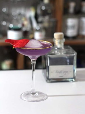 Tinte Gin Cocktail