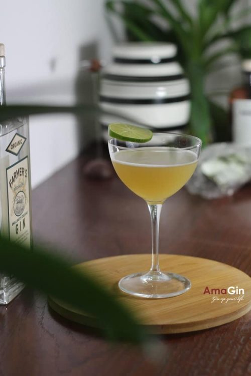 Apple Coriander Cocktail - AmaGin