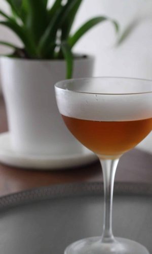 20201105 Ferdinands Gin Wermut_Bejou Cocktail (2)-min 20201105 Ferdinands Gin Wermut_Bejou Cocktail (2)-min